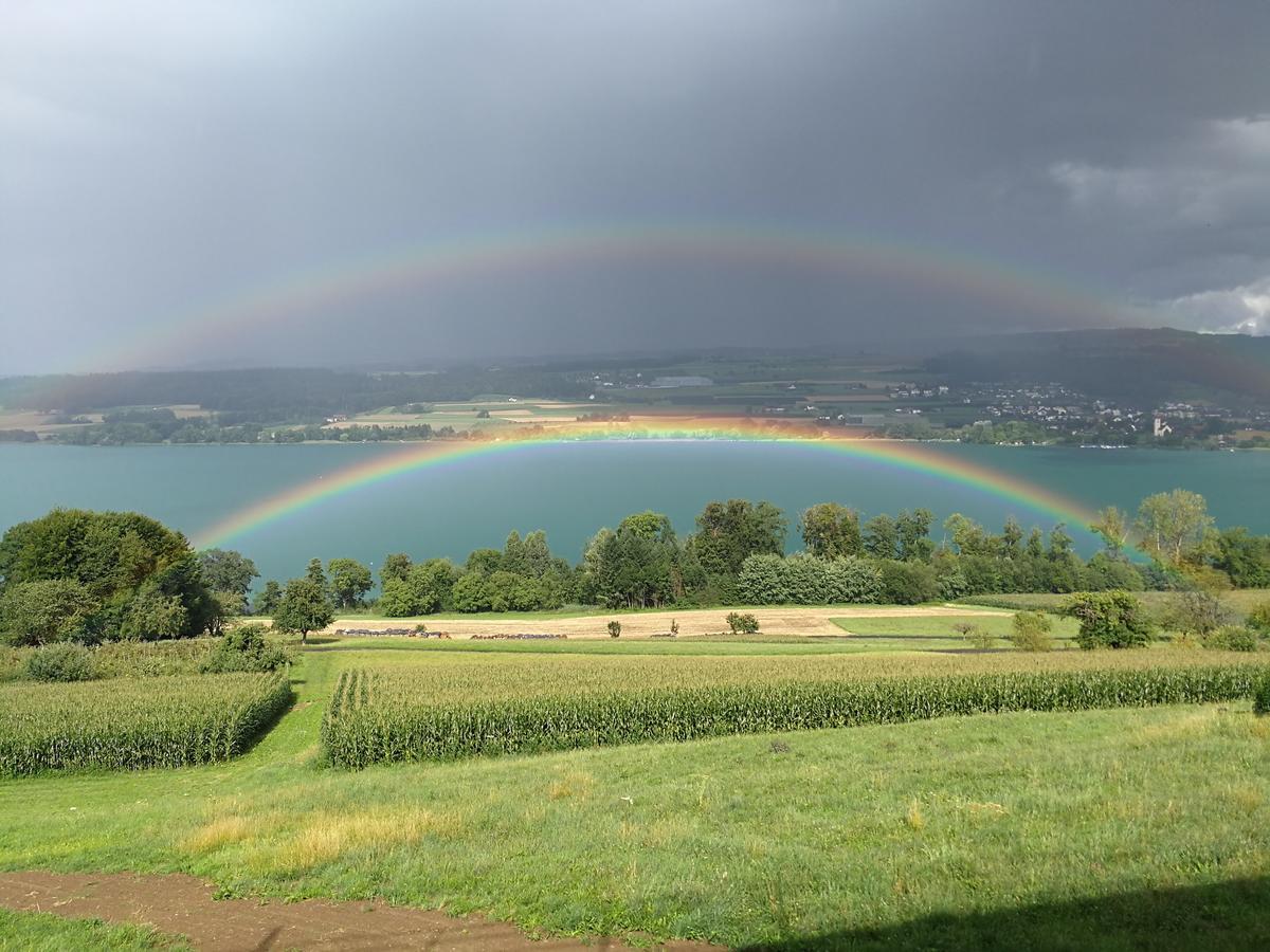 Lake View Apartments Beinwil Am See Exterior foto